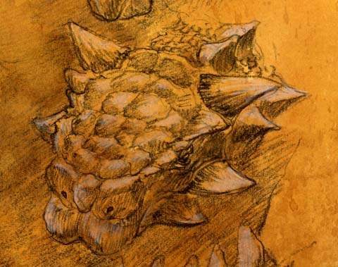 blog07111502.jpg