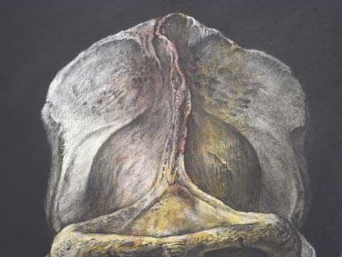 blog09012003.jpg