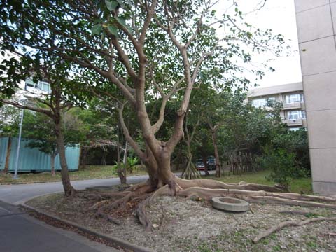 blog09013109.jpg