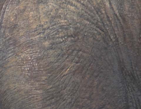 blog09040107.jpg