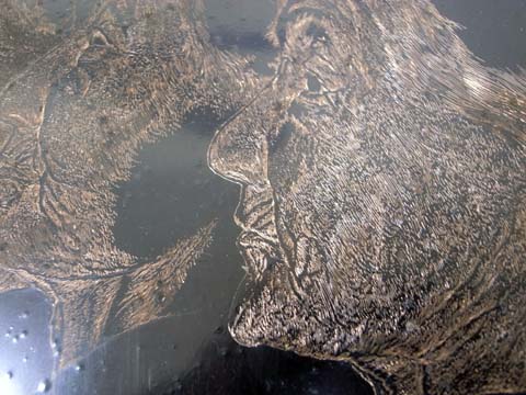blog09060402.jpg