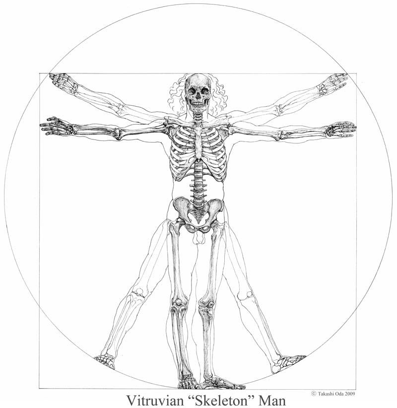 Vitruvian 