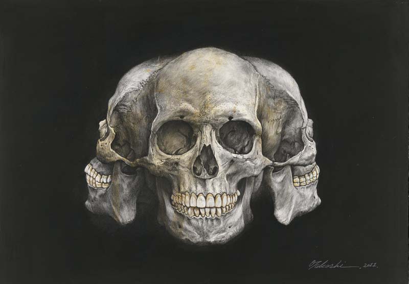 The unknown skull Asura