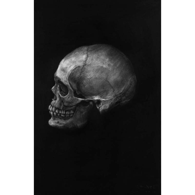 The unknown skull 01-01