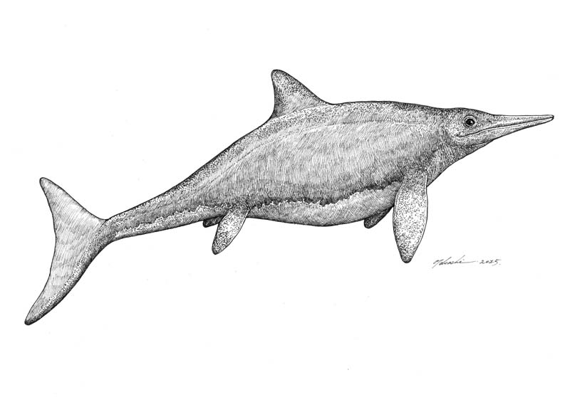 Ichthyosaurus