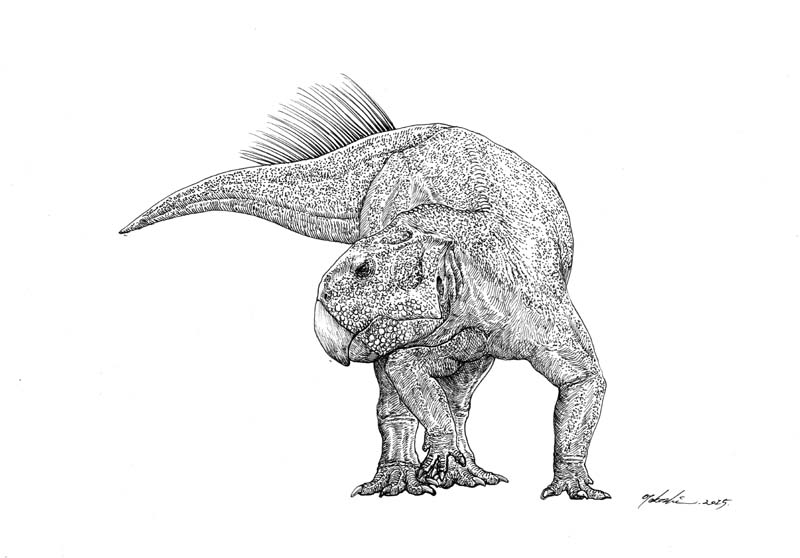 Psittacosaurus mongoliensis