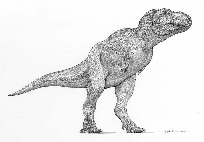 Tarbosaurus bataar