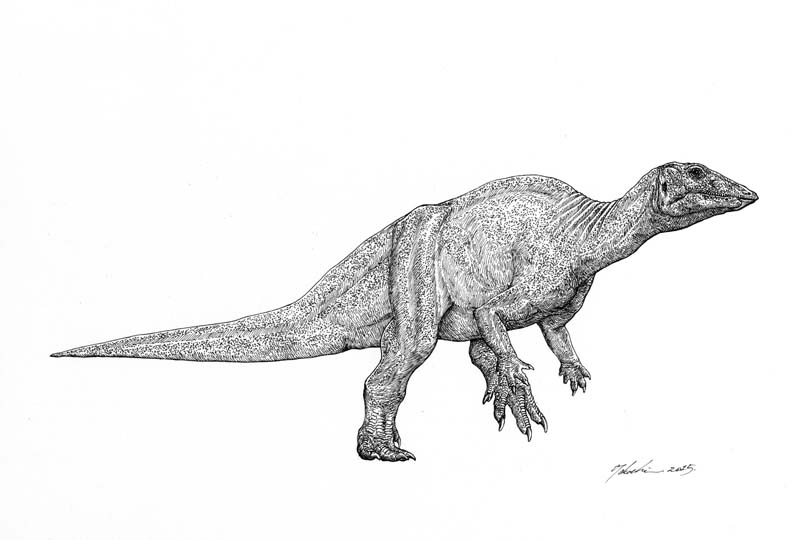 Thescelosaurus