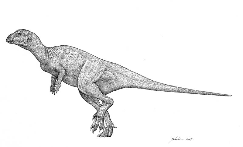 Hypsilophodon foxii