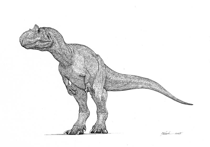 Allosaurus fragilis