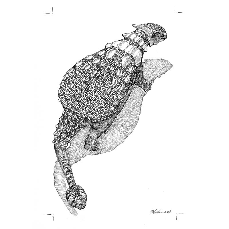 アンキロサウルス